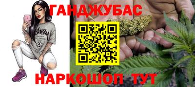 гидра Заволжье